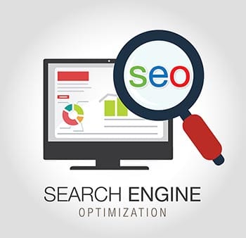 SEO Optimazation